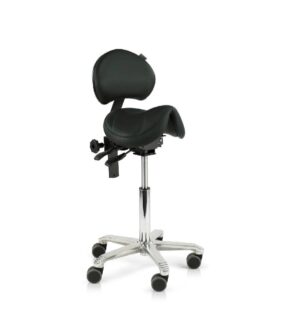 Amazone Adjustable with Lumbar (Adjustable) Support, Score